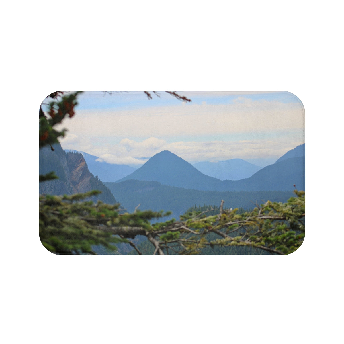 Scenic Mountain View in Mist Canvas Wall Art