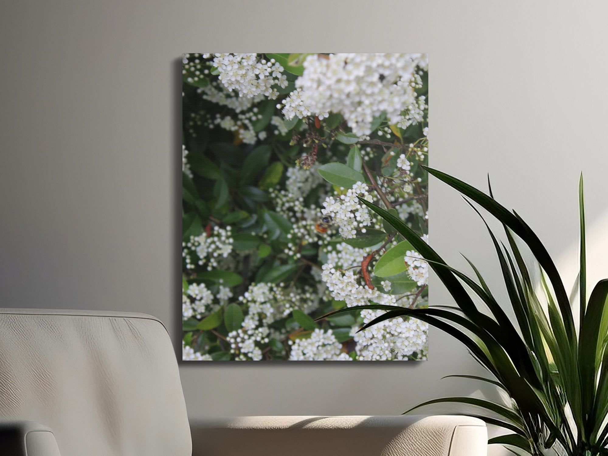 Blooming White Flowers Wall Art product type