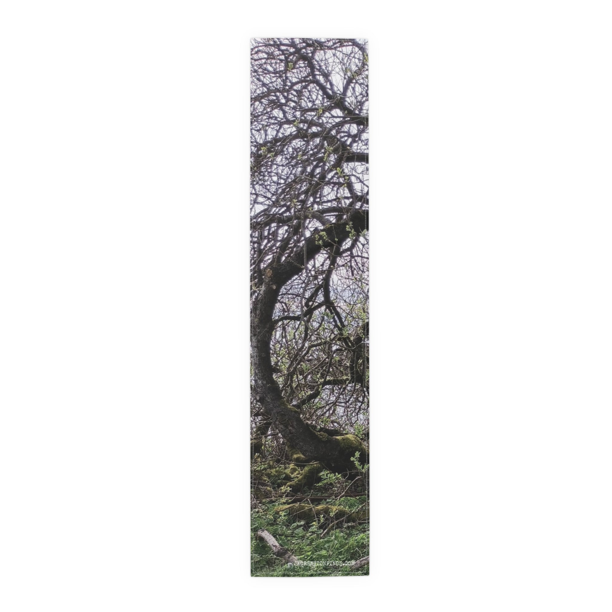 Twisted tree with mossy ground and branches reaching skyward.