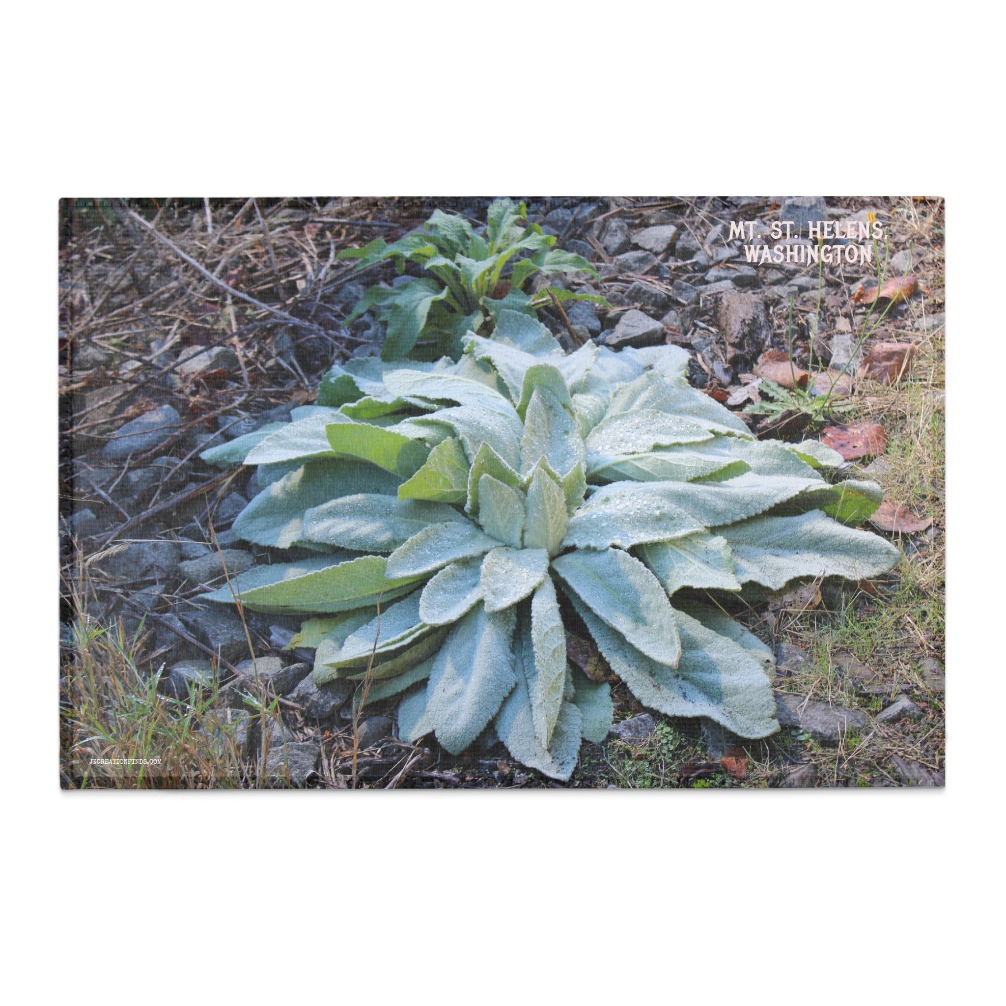 Mt. St. Helens Washington landscape product