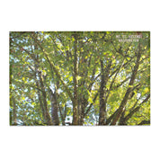 Mt. St. Helens Washington Tree Landscape product