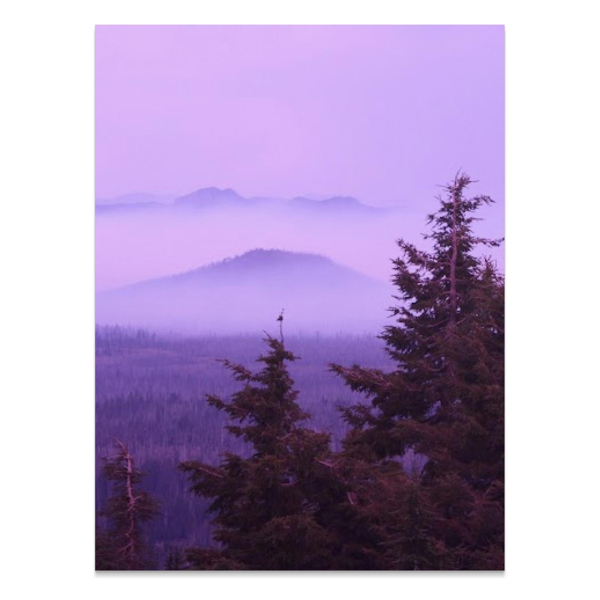 23212acf-1f29-4df7-9003-4c01fcdff87c