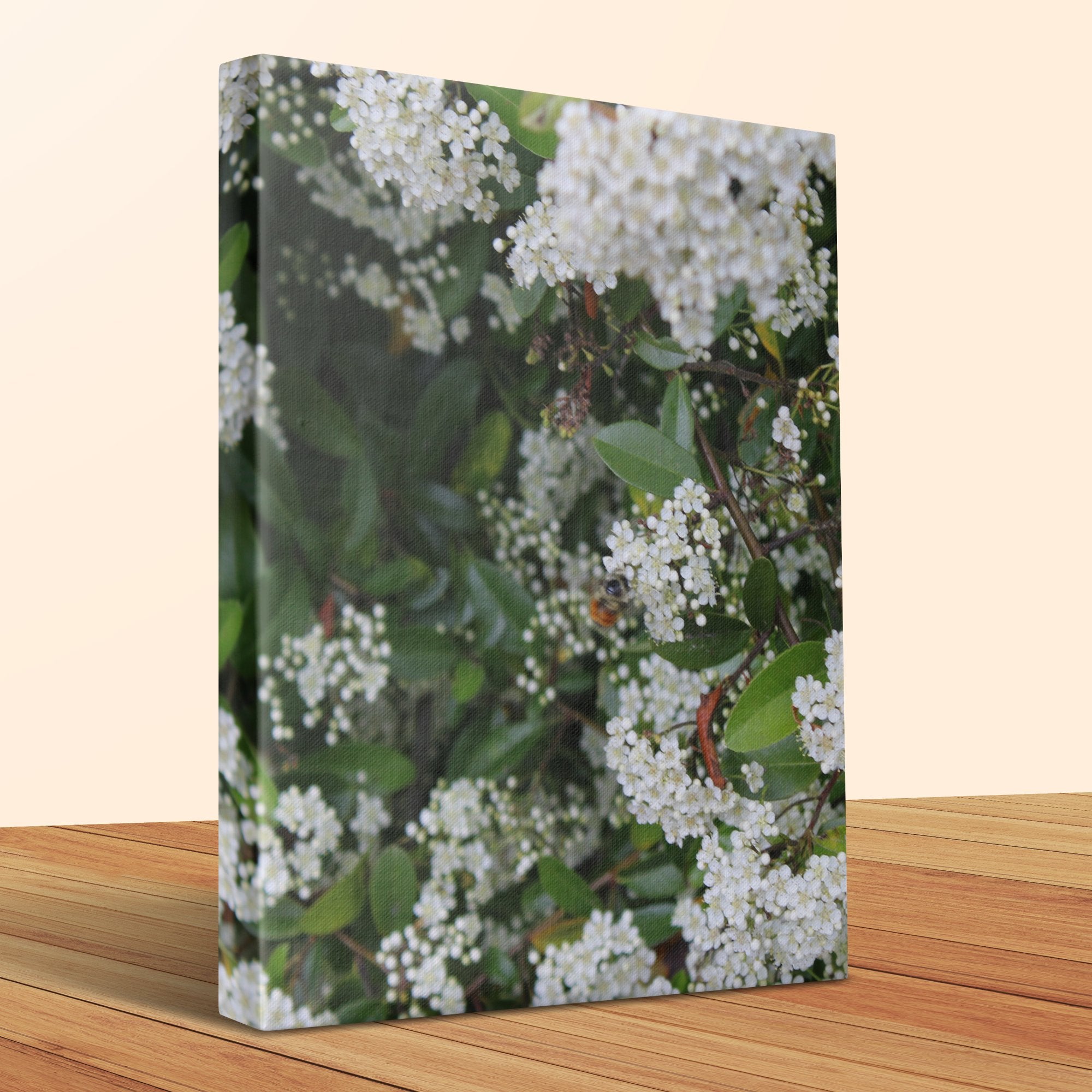 White Flower Blossoms Close-up Wall Art Canvas product