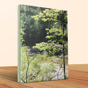 Forest Trees by the River Canvas Wall Art product