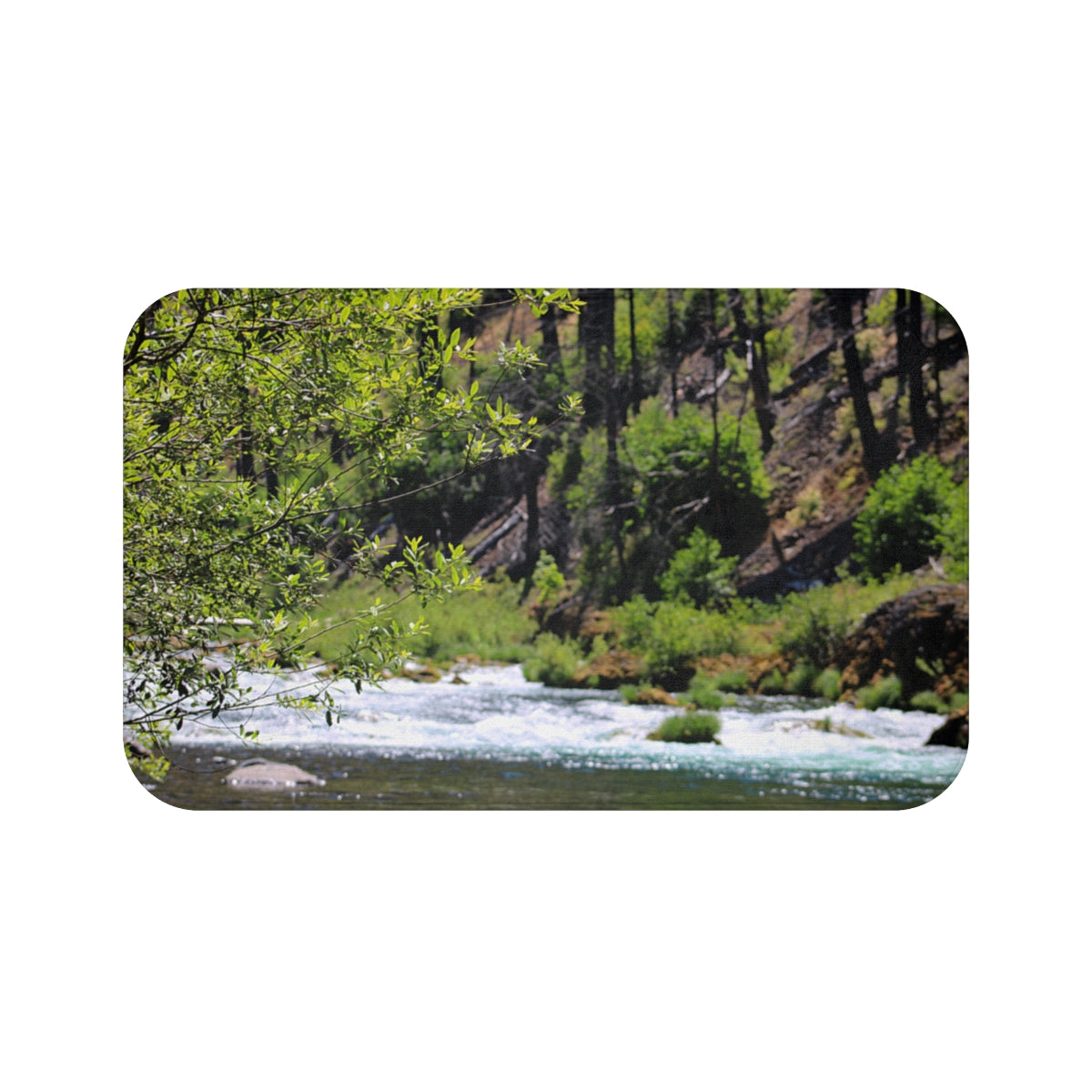 Serene Riverside Scenery Captured in a Beautiful Product