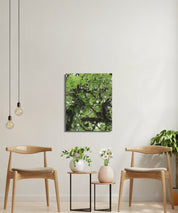 Green Tree Leaves Art Print Wall Decor product type