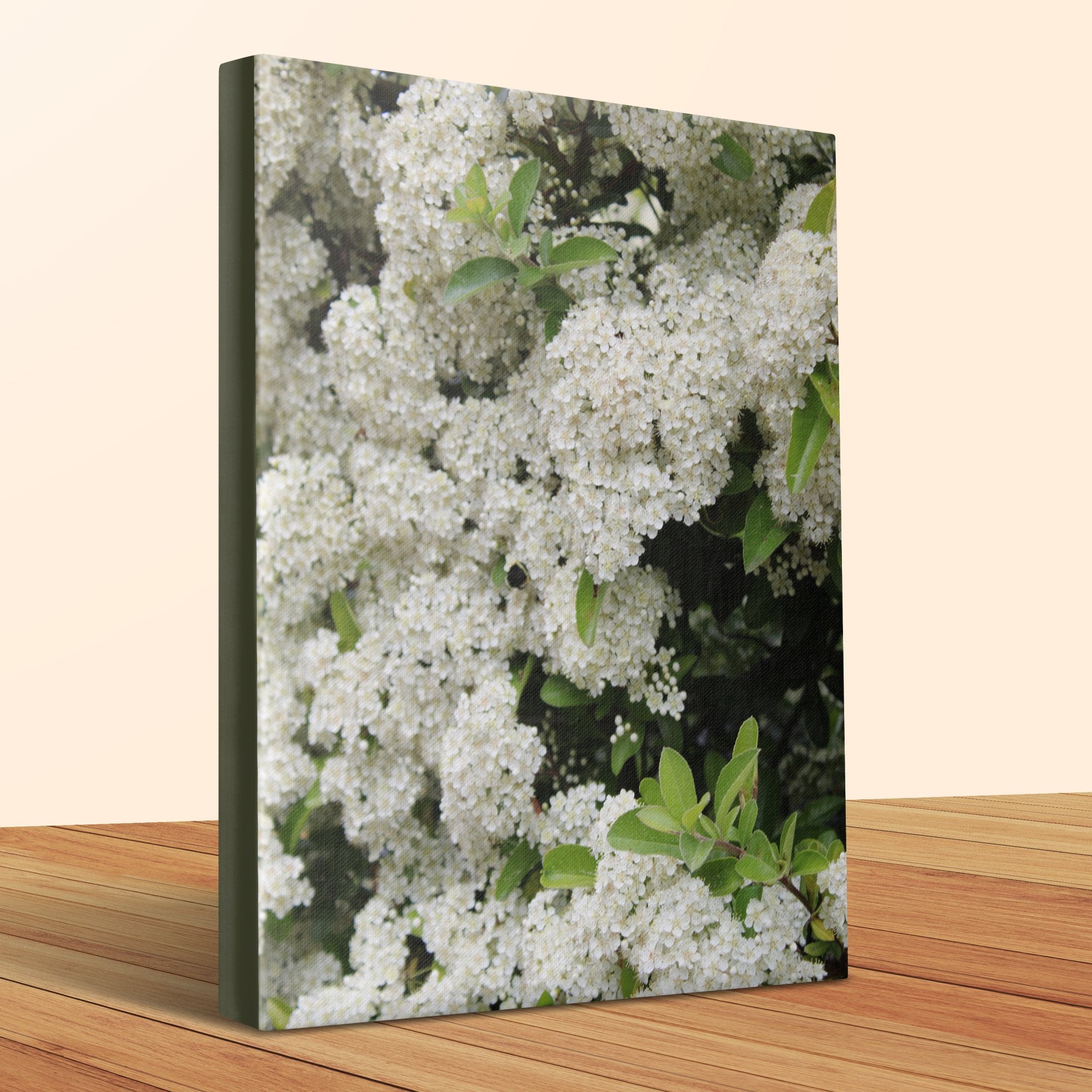 Beautiful White Flower Canvas Wall Art product type