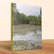 Tranquil Marsh Landscape on Gallery Wrapped Canvas product