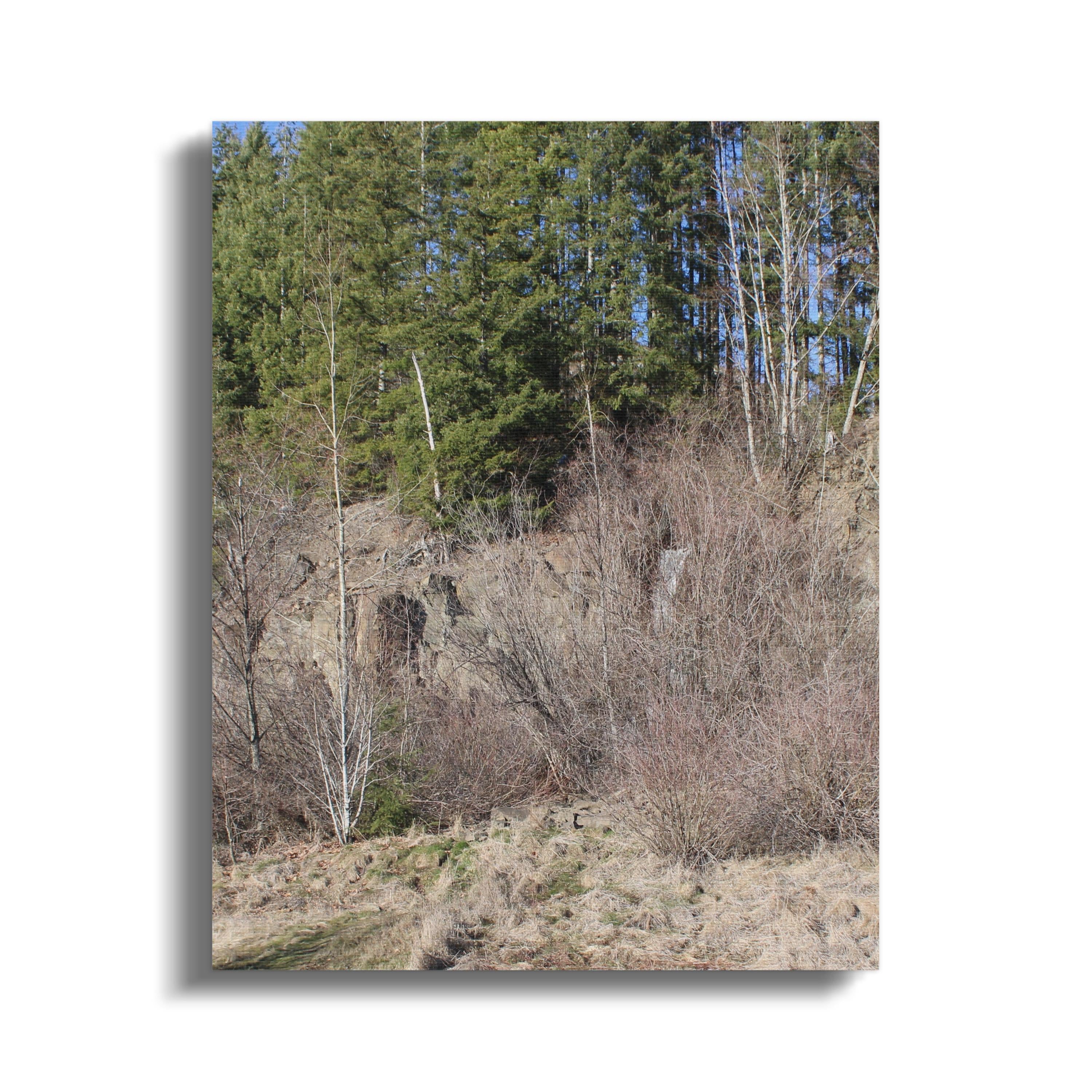 42be1fdf-1873-4d2c-9633-97ac5ac6d4e9