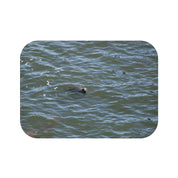 Seal Swimming in Blue Ocean Water Wall Art Print