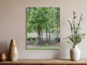 Serene Forest and Pond Nature Scene Wall Art product