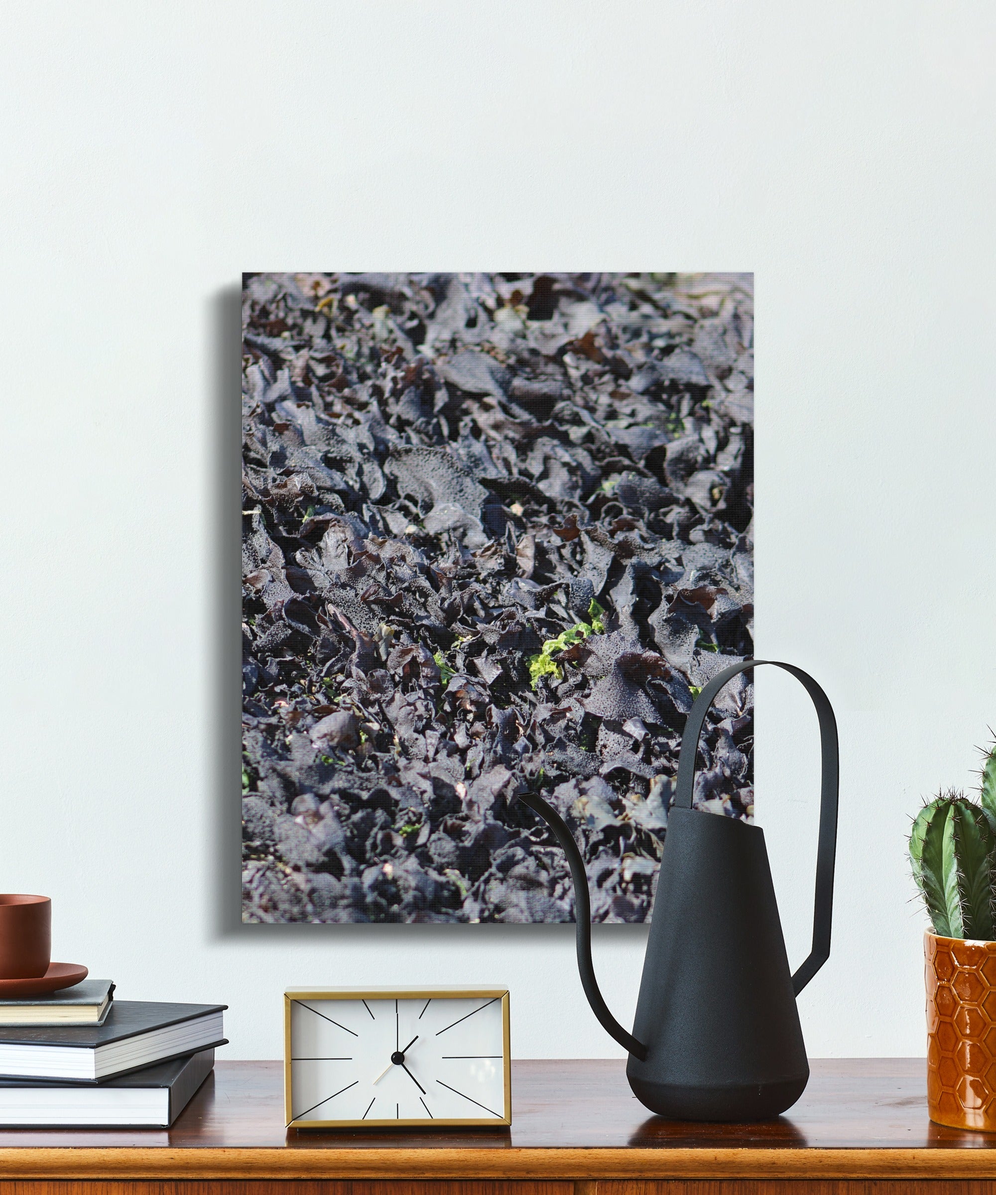 Artistic Close Up of Natural Elements Art product