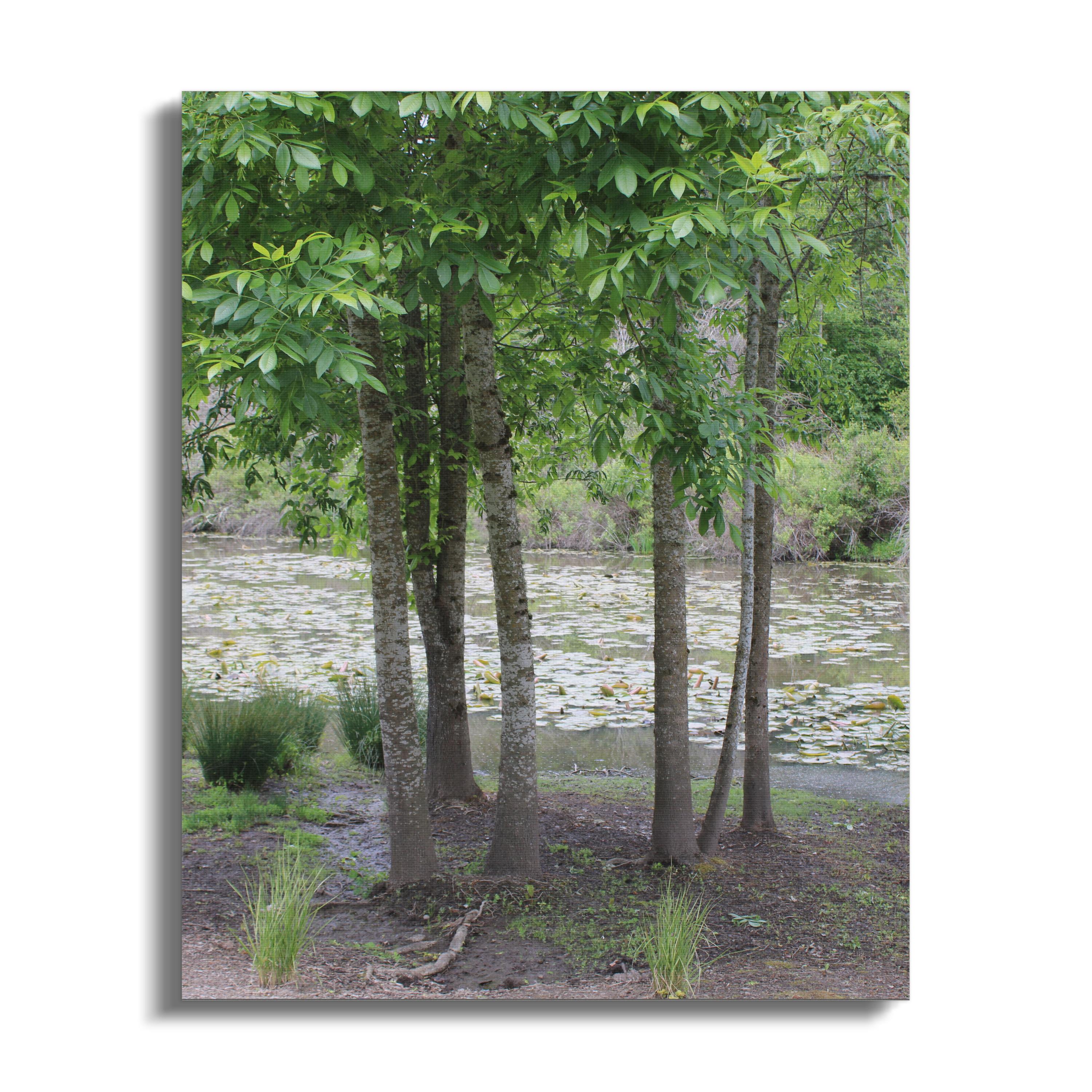 Serene Forest and Pond Canvas Wall Art product