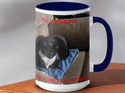 6a43ad5c-ef44-4bd1-912e-89b0b977fa76