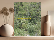 Staring Back at Ya Intriguing Artistic Photography product