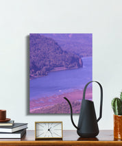 Print for Living Room