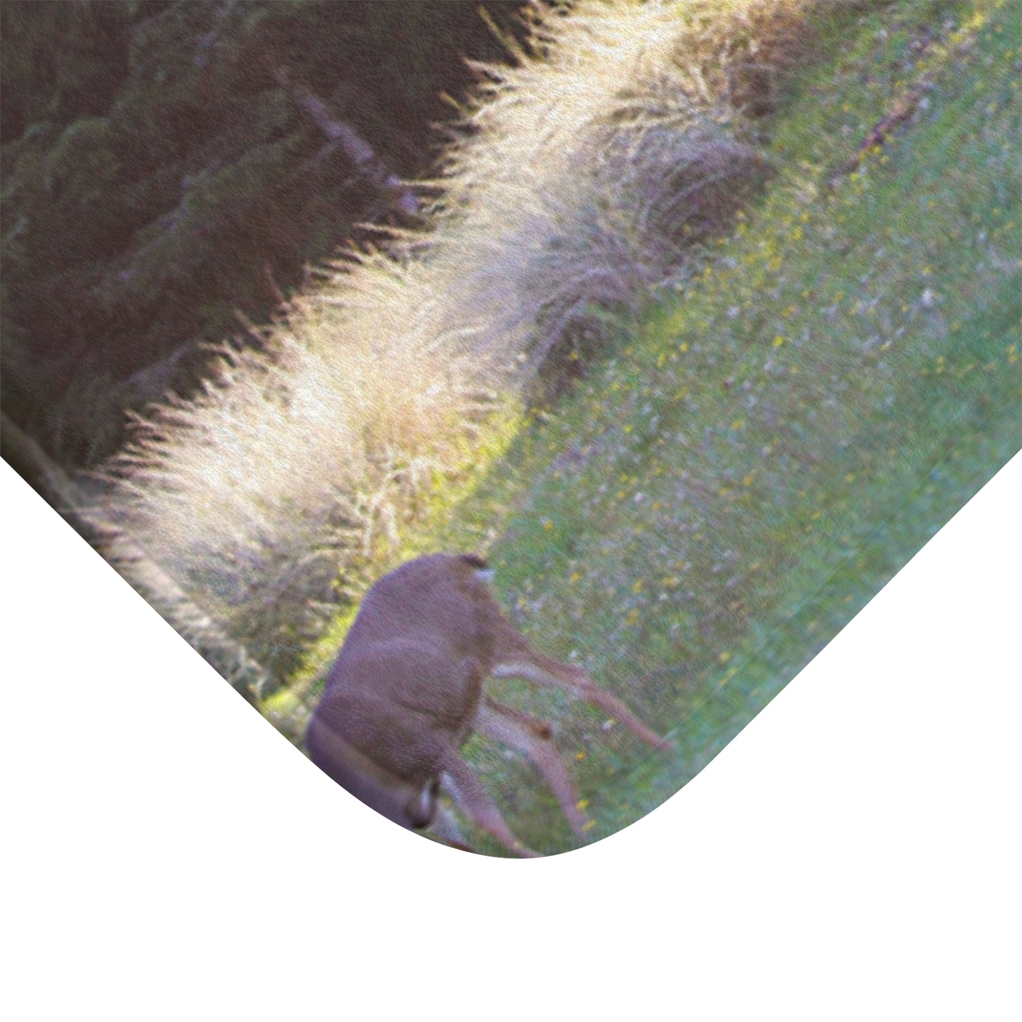 Peaceful Deer Grazing in Tranquil Meadow product