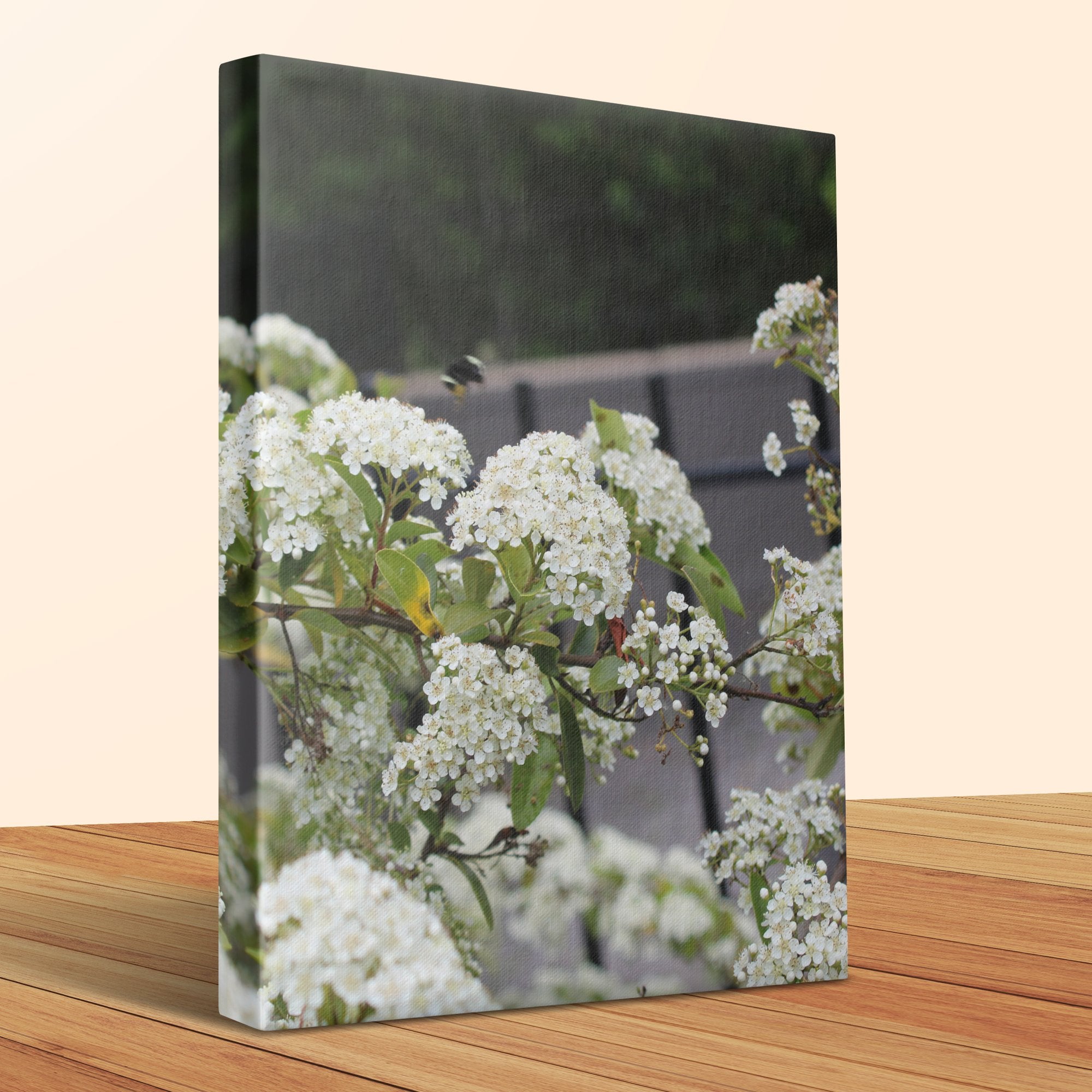Blooming White Flower Close-Up Canvas product