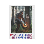 Only I Can Prevent This Forest Fire Poster