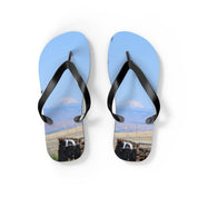 Flip-flops with a landscape of mountains and water features.