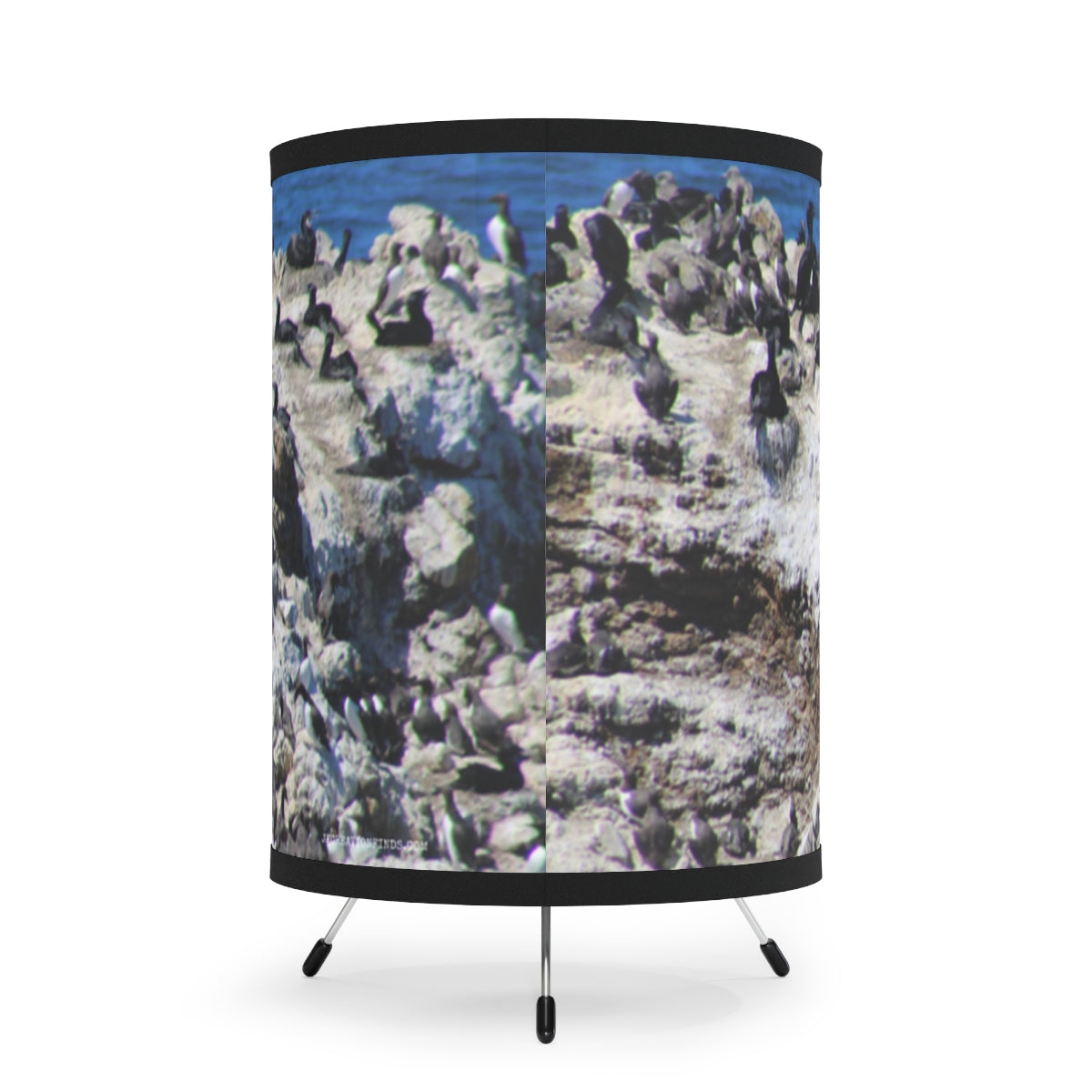 Seaside Birds Gathering Oceanic Scene product type