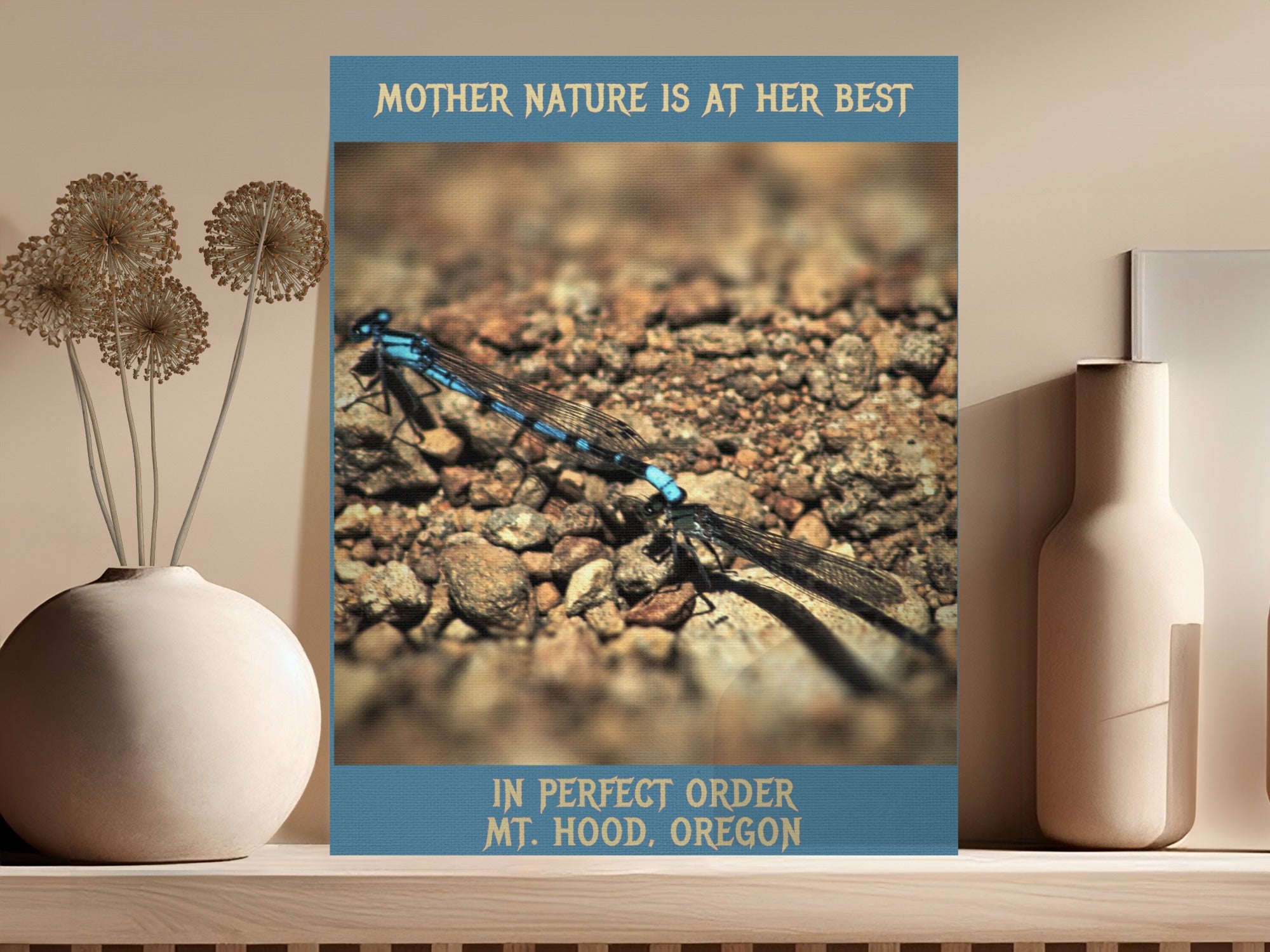 Dragonfly At Mt. Hood Oregon Poster Print product