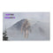 Hunting Sasquatch Scenic Art Display product