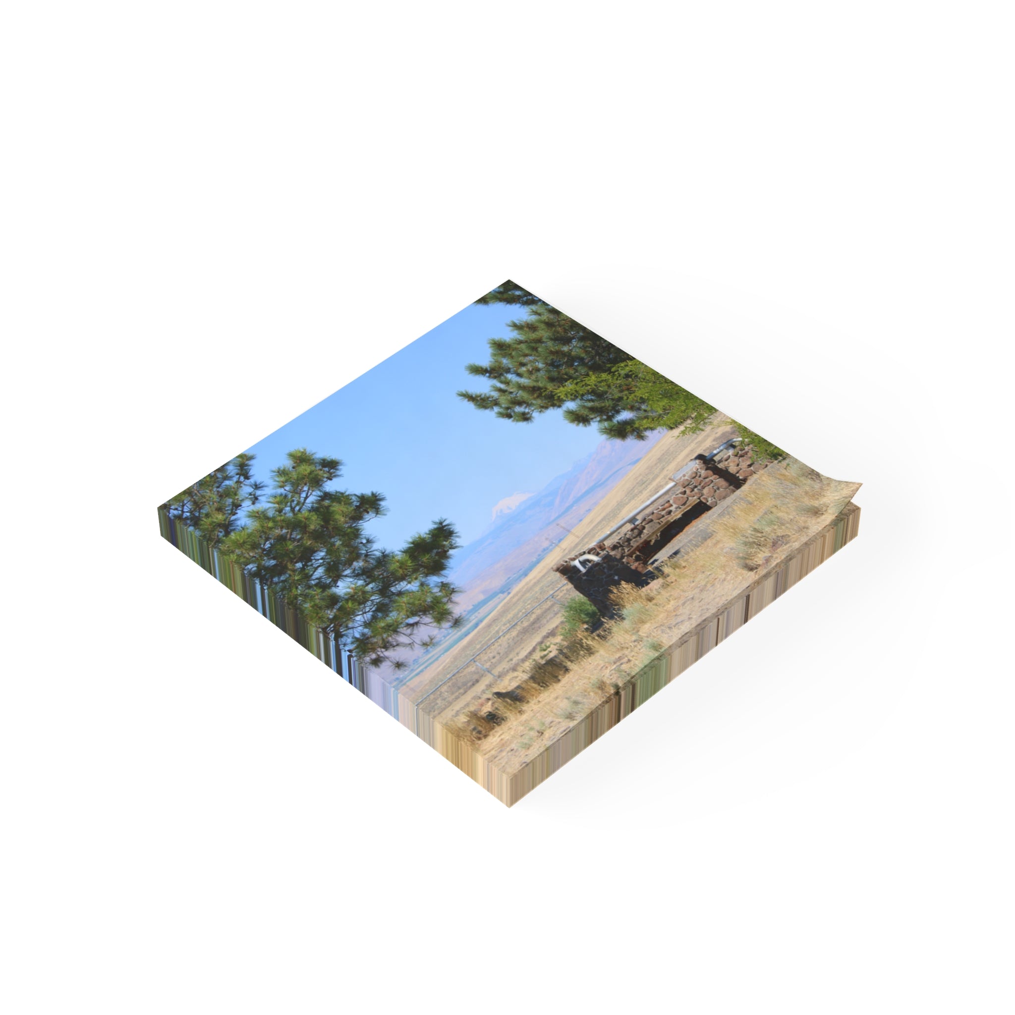Cross-section of landscape with trees, dry grass, and mountains under blue sky.