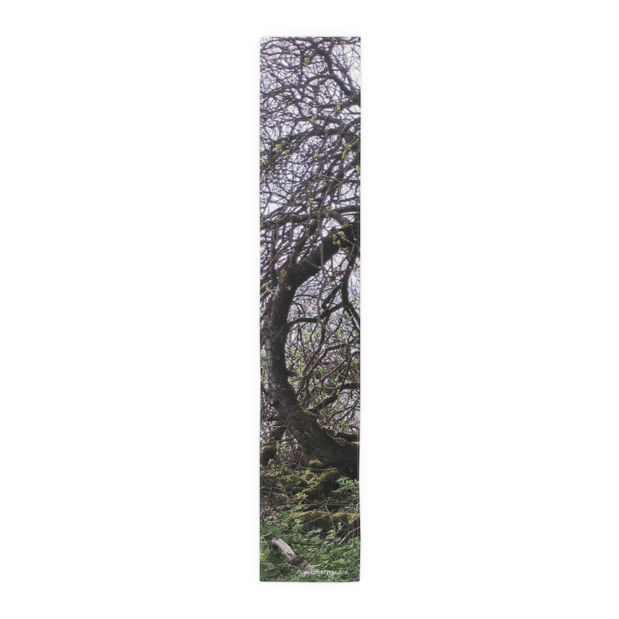Twisted tree branches with green foliage against a white background.