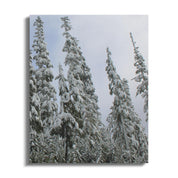 bcaadccb-ec83-4165-8cbd-0545105548ae