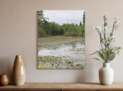 Serene Water Lily Pond Artistic Canvas product type