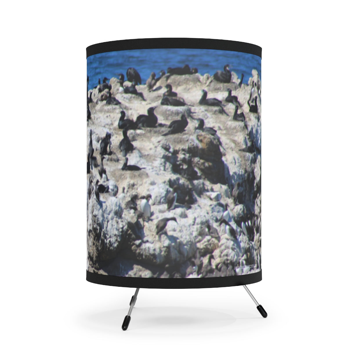 Stunning Coastal Bird Scene Decorative Lamp