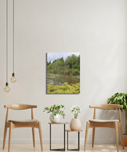 Tranquil Forest Pond Scene Wall Art product