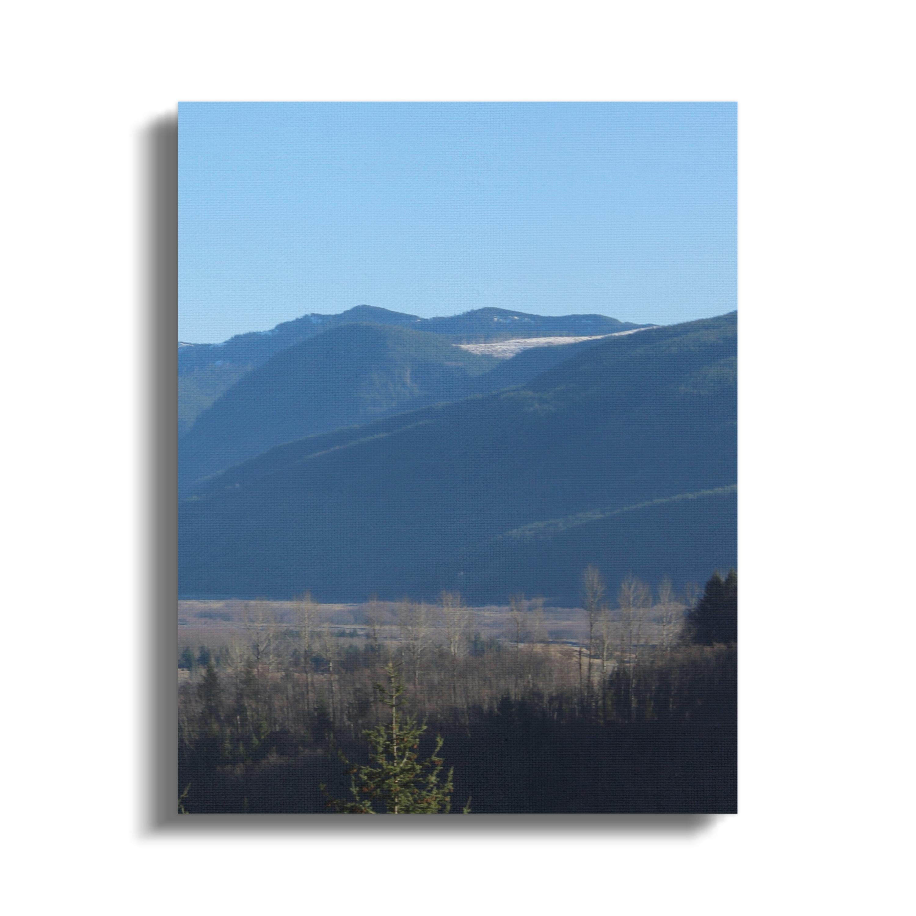 ef5941c1-f096-451a-bd4d-f08f3d4b2de4