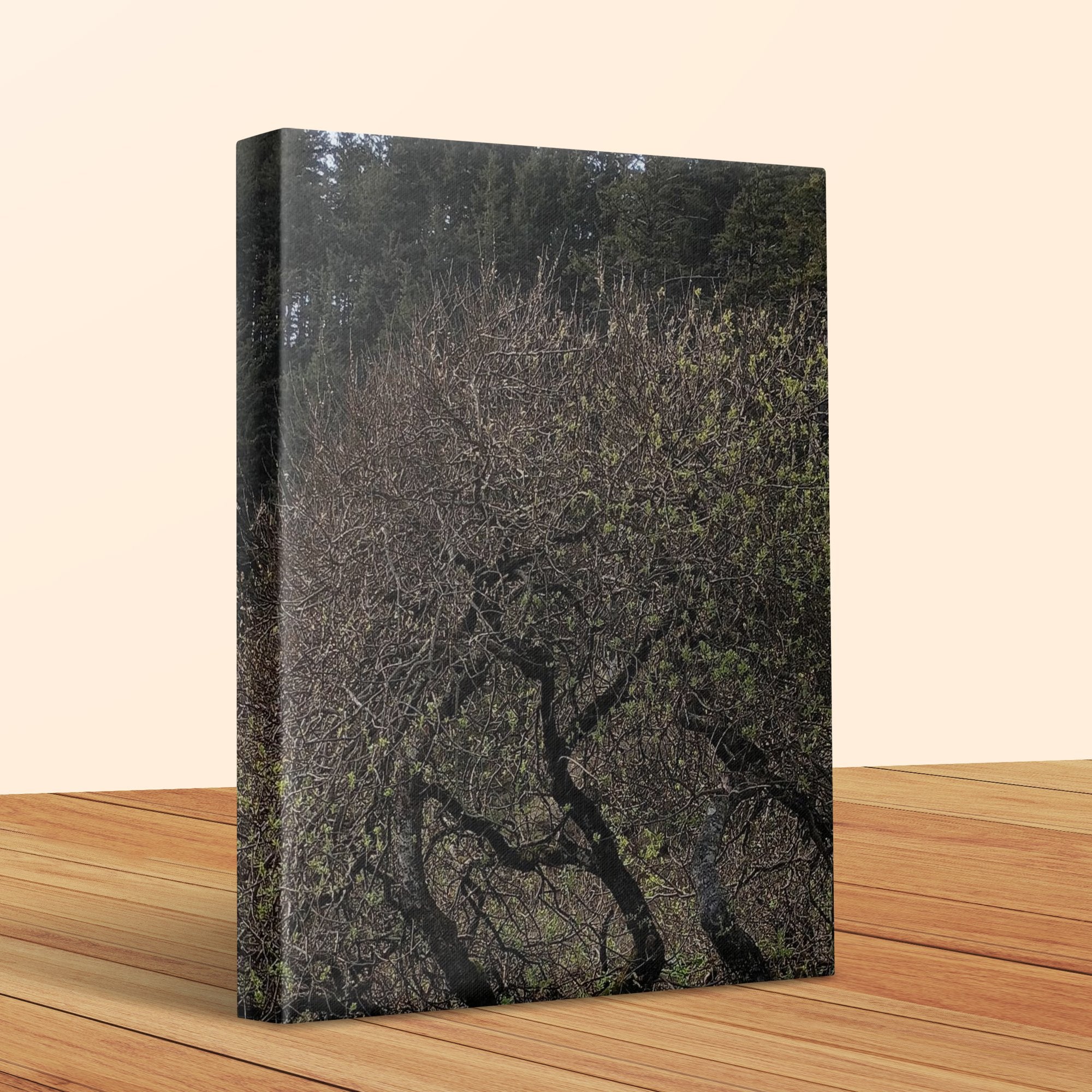 Tranquil Forest and Trees Nature Inspired Canvas product