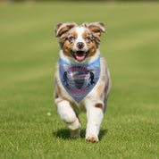 Hunting For Sasquatch Dog Bandana Product