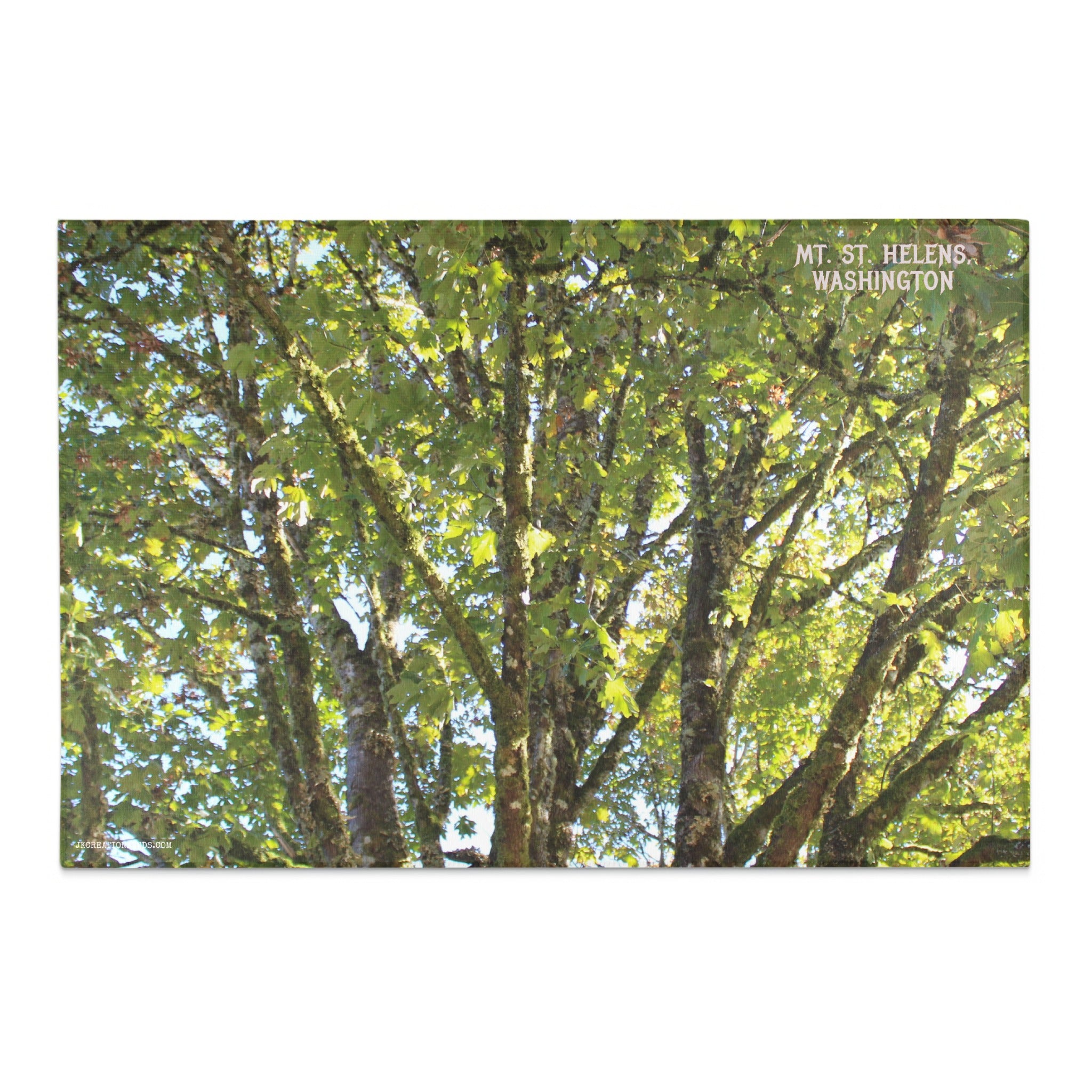 Beautiful Mt. St. Helens Washington Tree Scene product